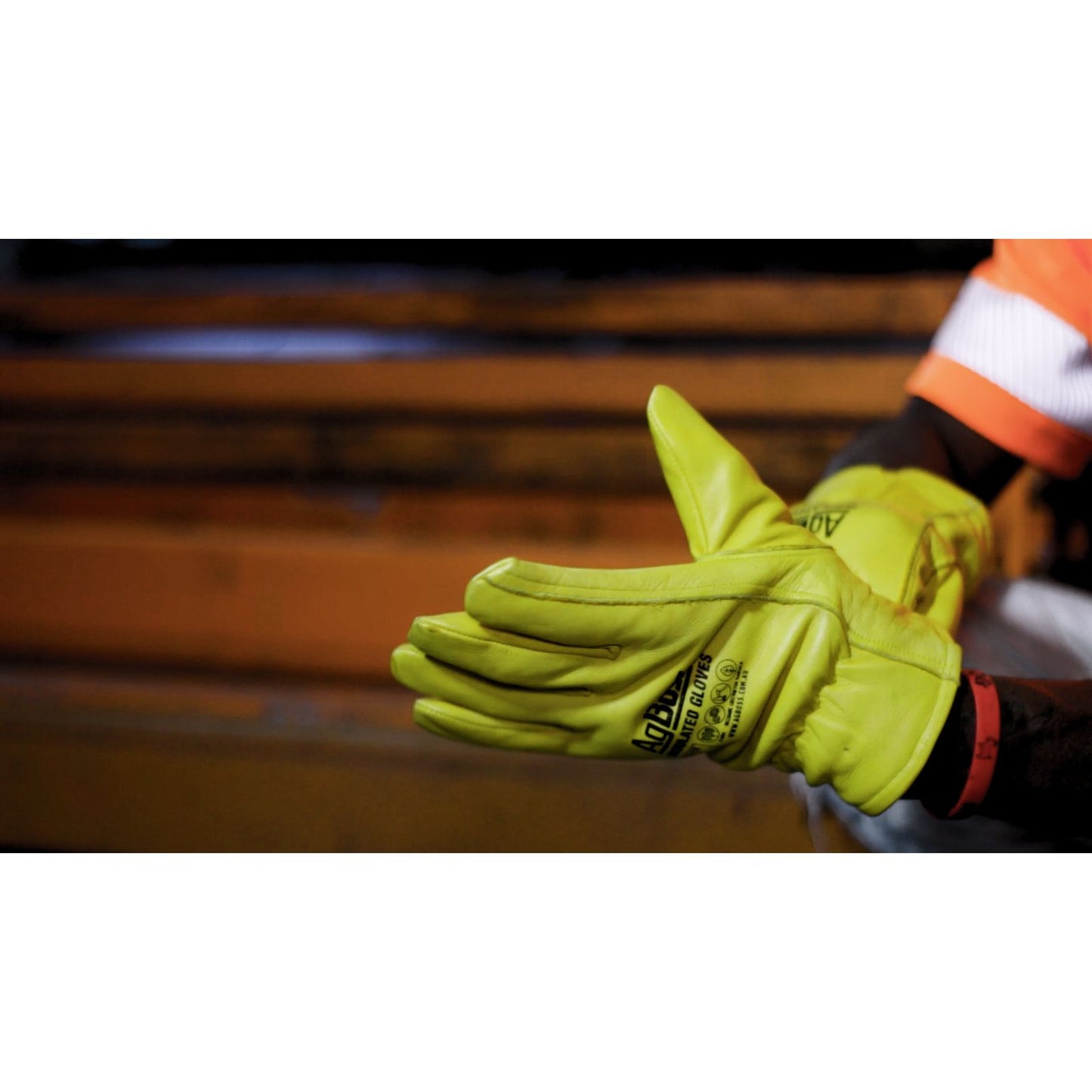 3M Thinsulate Leather Gloves | M