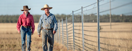 Electric vs Standard Fencing