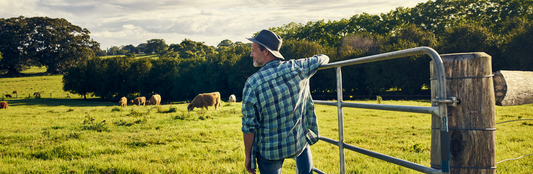 10 fun statistics about farms in Australia