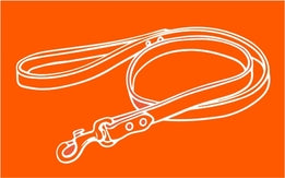 Restraints & Leads