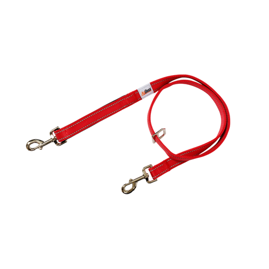 AgBoss Dog Lead, Red - 25mm x 120cm (48")