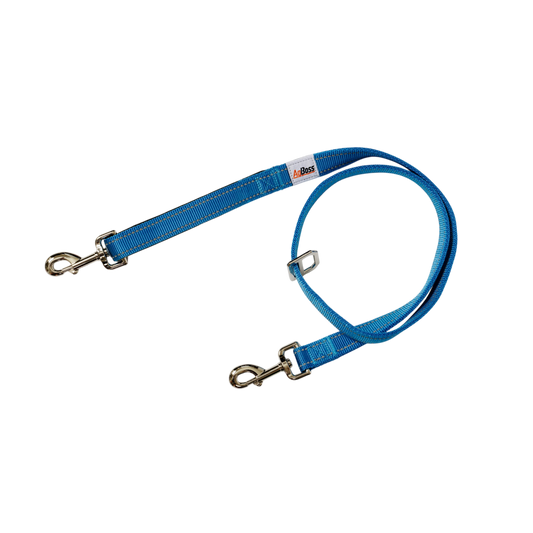 AgBoss Dog Lead, Blue - 25mm x 120cm (48")