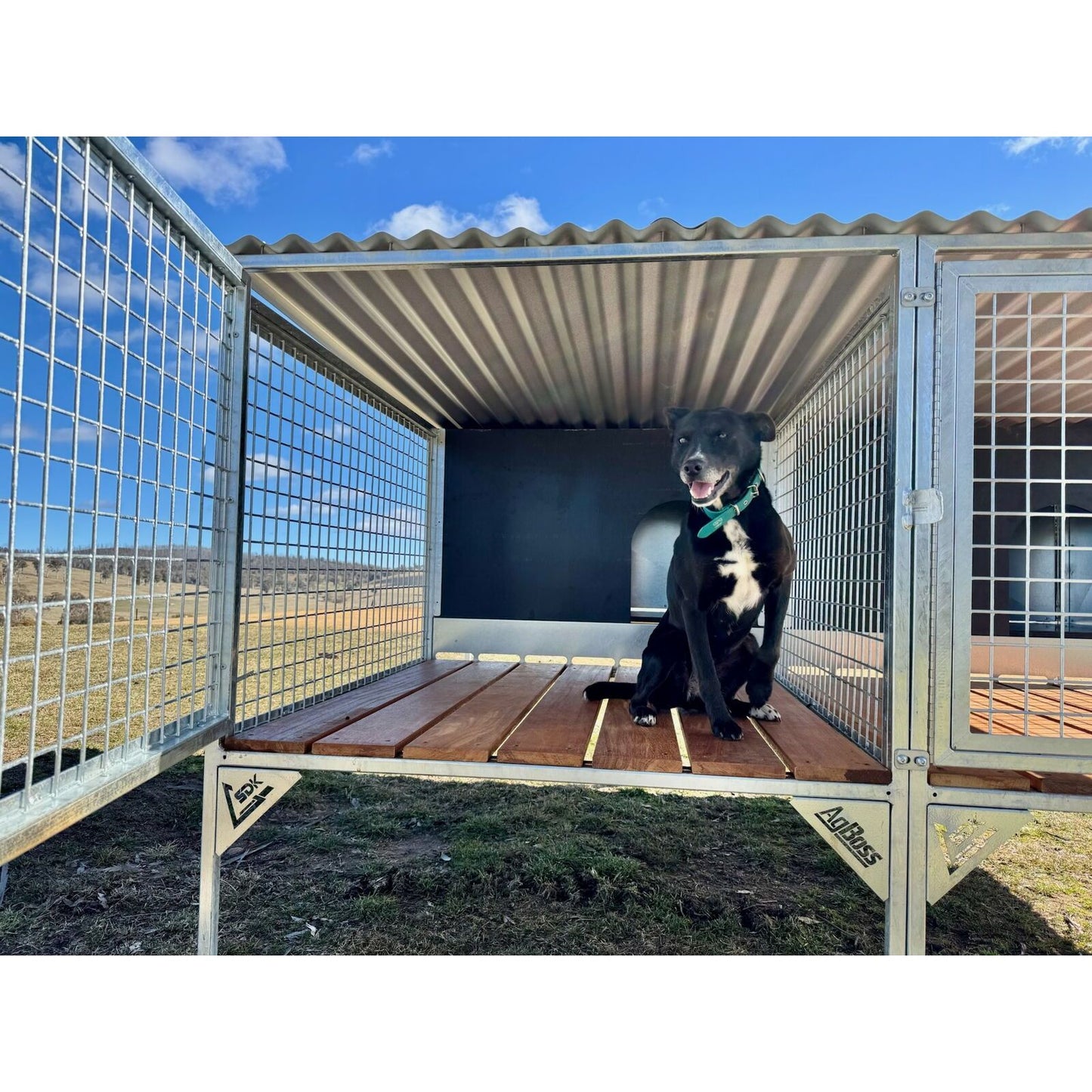 SDK Raised Dog Kennel 2 Bay Flat Pack
