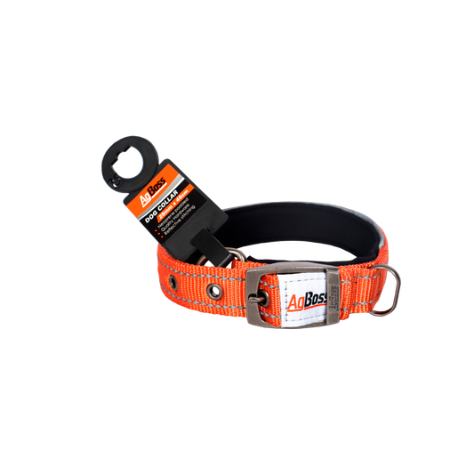 Orange Dog Collar | 15mm x 35cm (14")