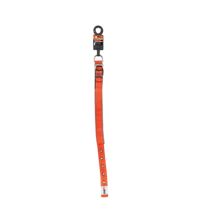 Orange  Dog Collar | 25mm x 50cm (20")
