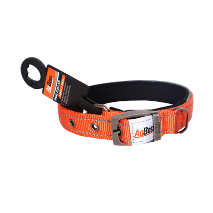 Orange  Dog Collar | 25mm x 50cm (20")