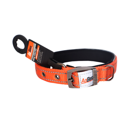 Orange  Dog Collar | 25mm x 50cm (20")