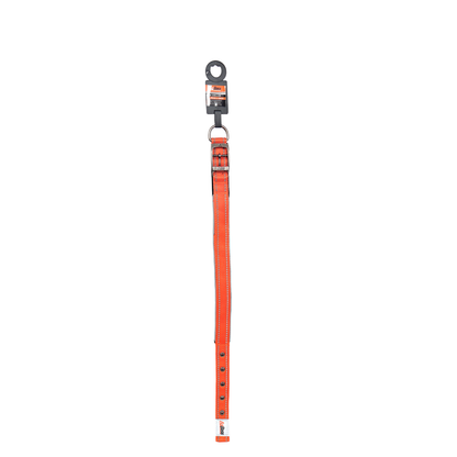 Orange  Dog Collar | 25mm x 55cm (22")