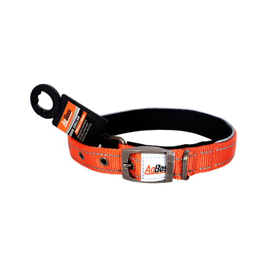 Orange  Dog Collar | 25mm x 55cm (22")