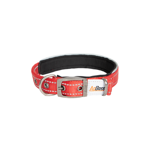 Red Dog Collar | 25mm x 45cm (18")