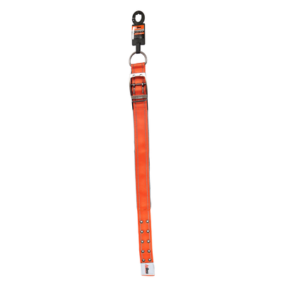 Orange Dog Collar | 40mm x 75cm (30")