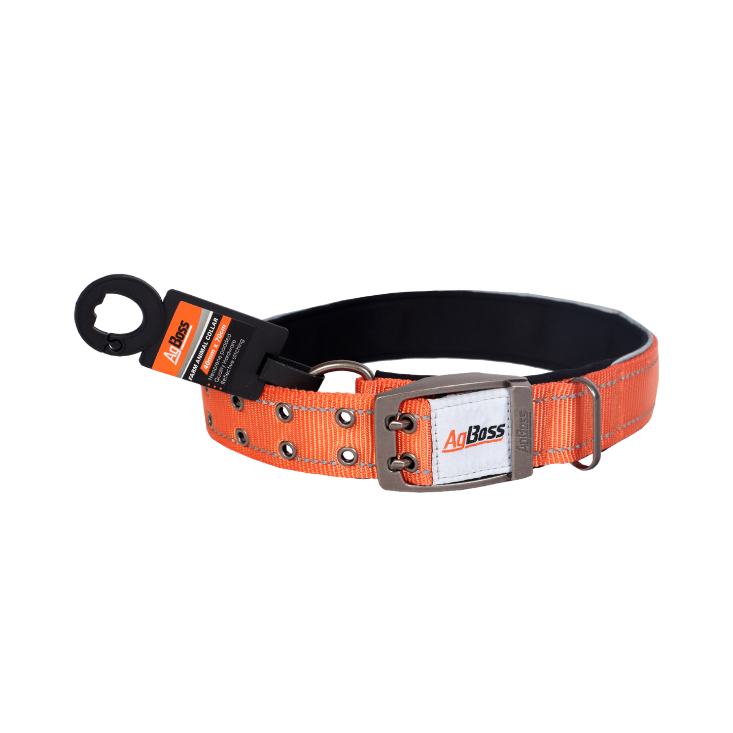 Orange Dog Collar | 40mm x 60cm (24")