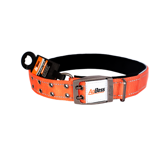 Orange Dog Collar | 40mm x 75cm (30")