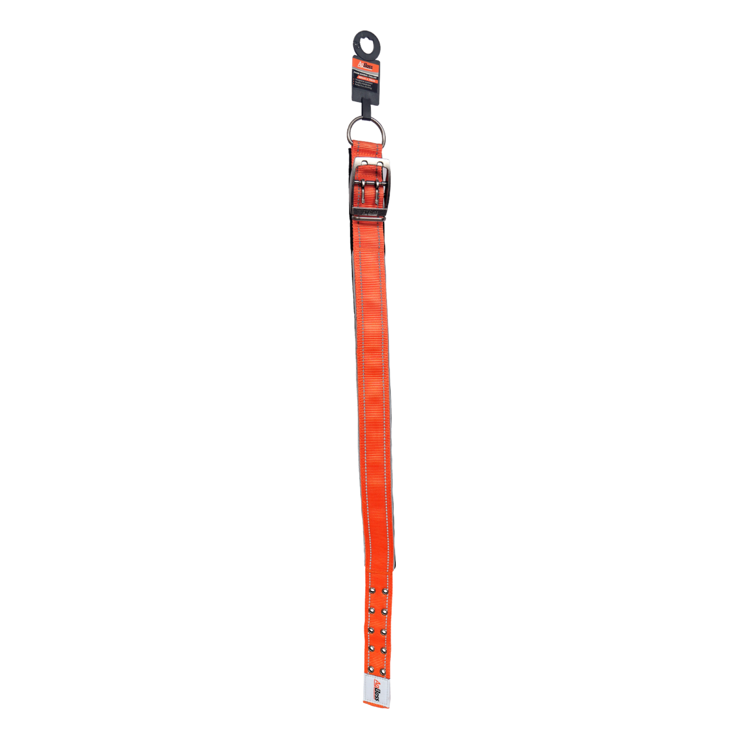Orange  Dog Collar | 40mm x 65cm (26")