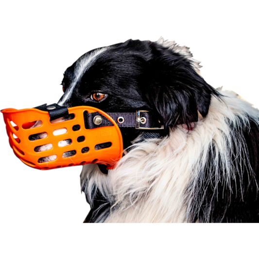 AgBoss Working Dog Muzzle Plastic - Orange
