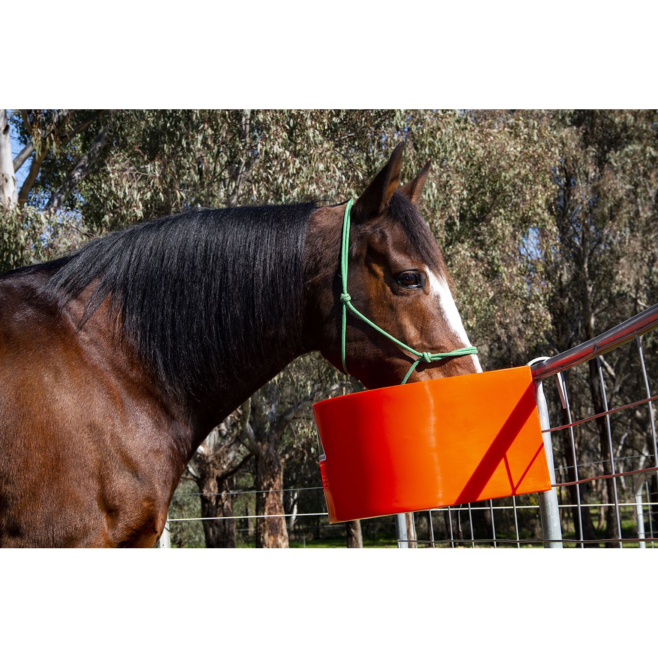 D Feeder, 45 litre - Green
