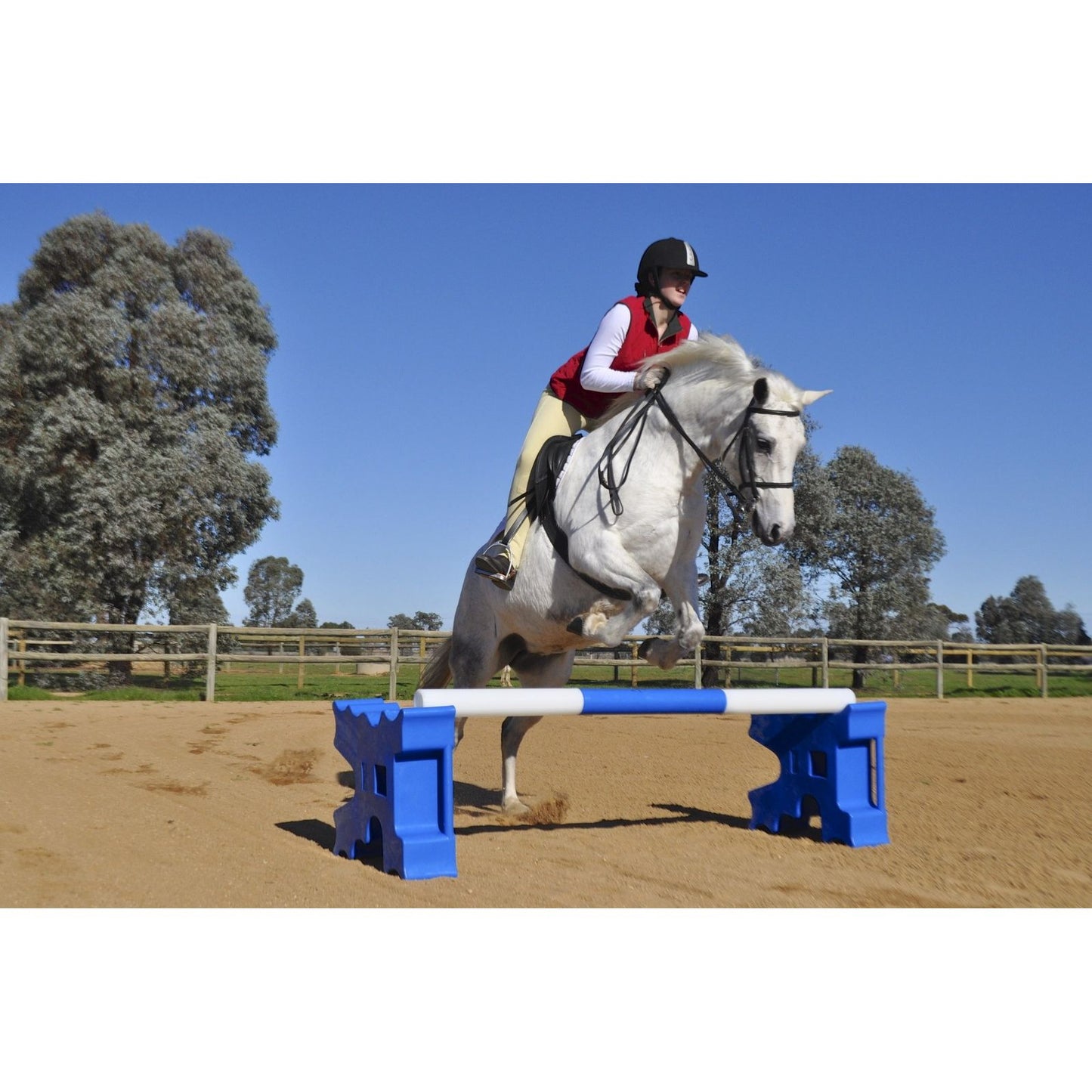 Cavaletti Jump Blocks - Blue (1pr)