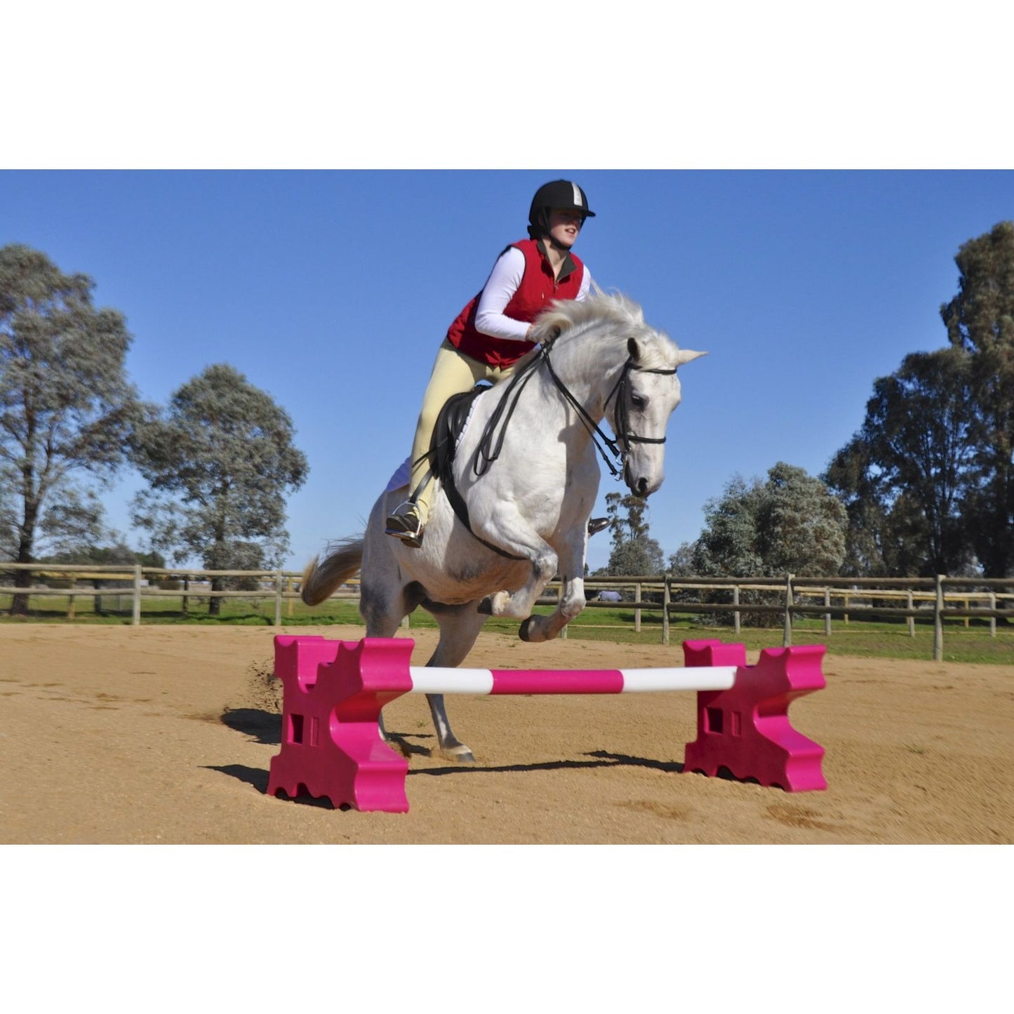 Cavaletti Jump Blocks - Pink (1pr)
