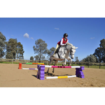Cavaletti Jump Blocks - Purple (1pr)