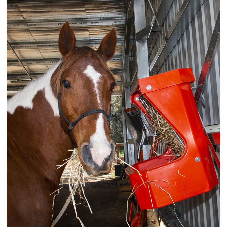 Hay Rack Feeder with Lid - Pink