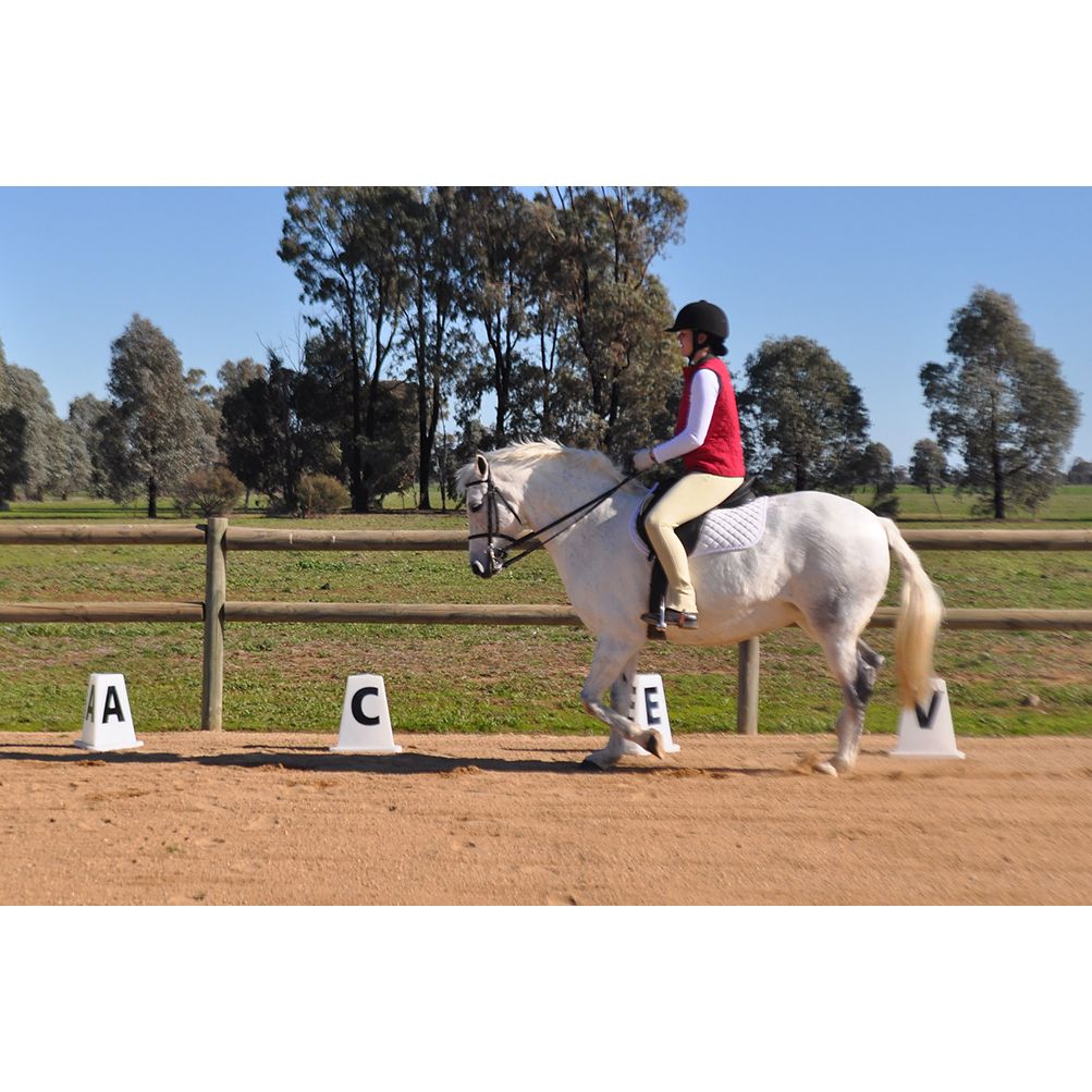 Arena Marker 40cm Natural (not inc. letters)