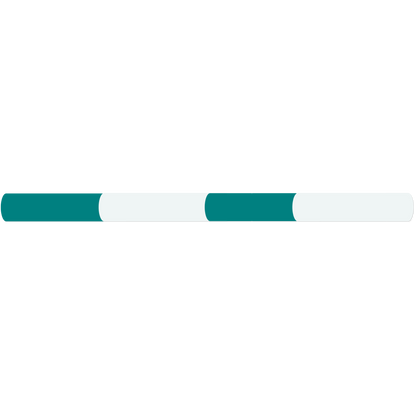 Jump Pole 2.4m long Natural & Teal