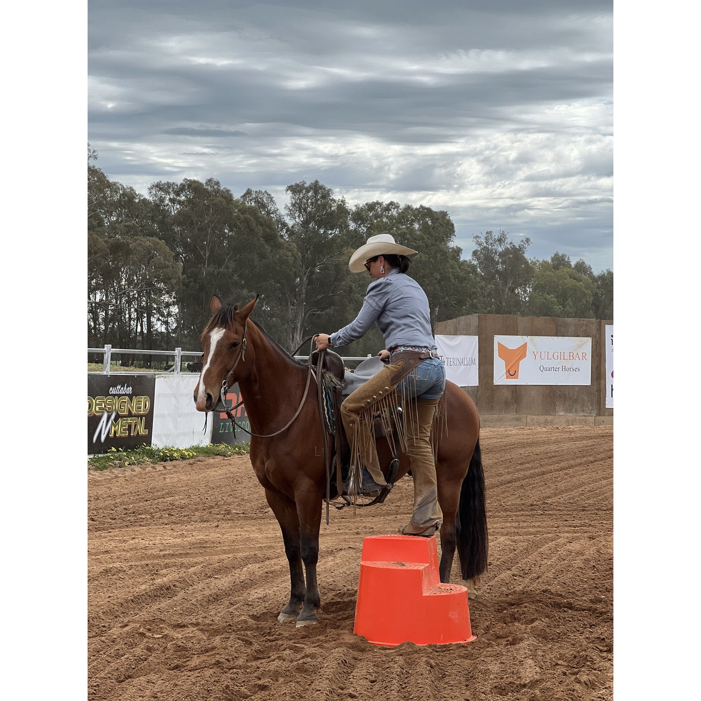 Mount Ease Blue