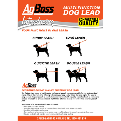 Orange Dog Collar | 25mm x 45cm (18")