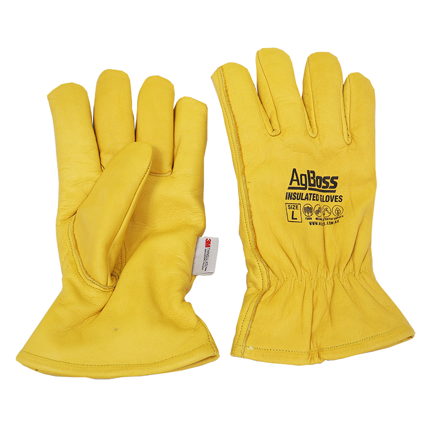 3M Thinsulate Leather Gloves | L